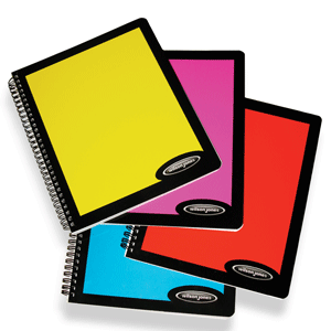 CUADERNO PROFESIONAL BASICO WILSON JONES C5 90H