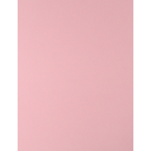 CARTULINA ROSA 65X50 CM 170G