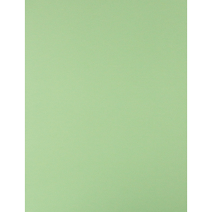 CARTULINA VERDE CLARO 65X50 CM 170G FASHION 924