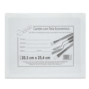 CARTON C/TELA 20X25CM PZ CARTON C/TELA 20X25CM PZ