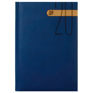 AGENDA 2020 CAVALIER PLATINUM AGENDA 2020 CAVALIER PLATINUM