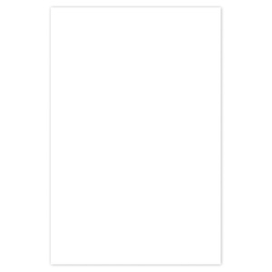 CARTULINA BLANCA 220G PAQ10 CARTULINA BLANCA 220G PAQ10