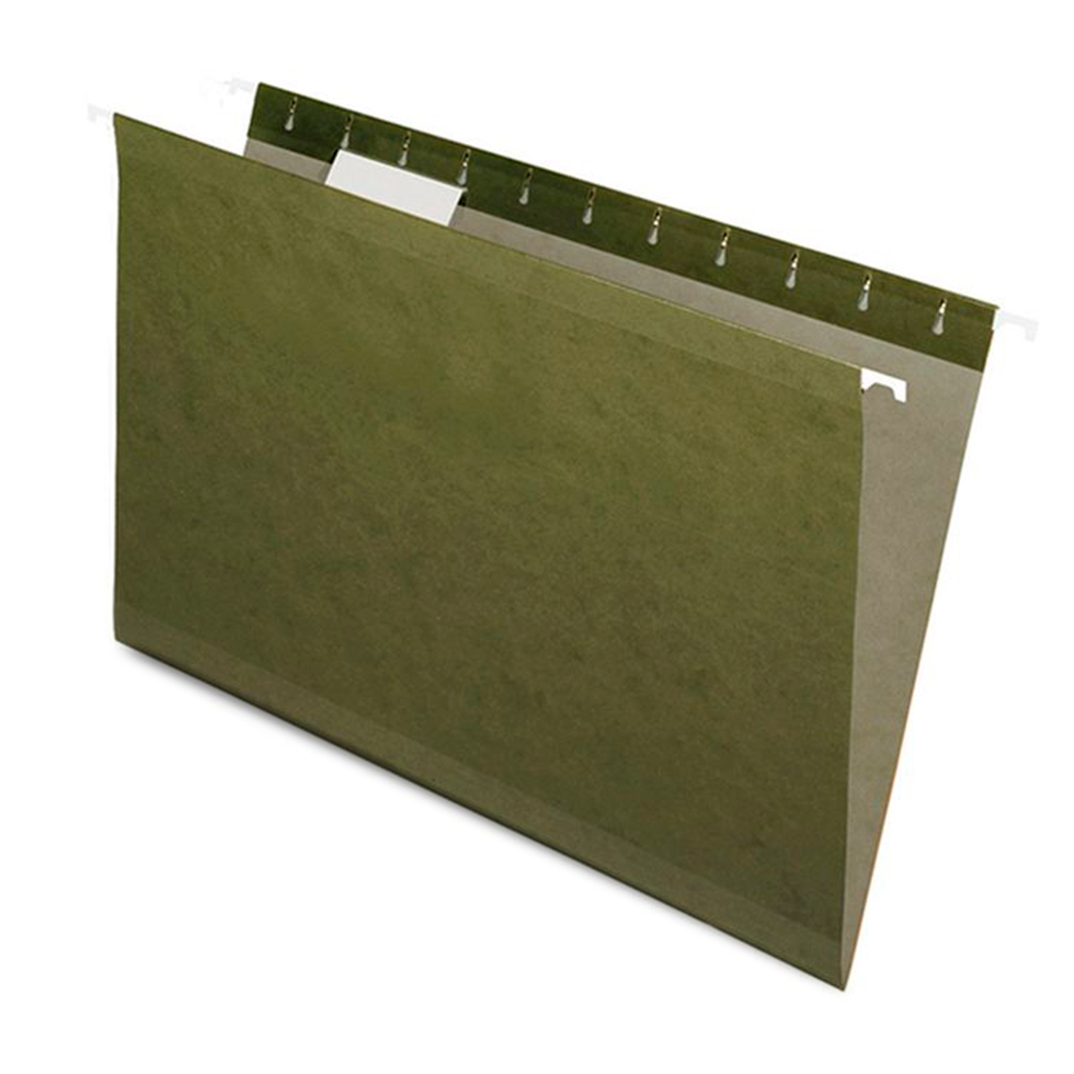 FOLDER COLGANTE PENDAFLEX CARTA VERDE MUZGO 25 U