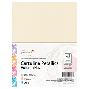 CARTULINA CARTA PETALLICS AUTUMN 265GR 30H CARTULINA CARTA PETALLICS AUTUMN 265GR 30H