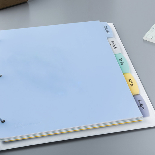 SEPARADOR BORRABLE DE PLÁSTICO, 5 PESTAÑAS MULTICOLOR, 1 JUEGO.