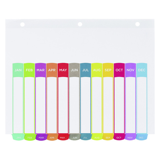 SEPARADOR PREDISEÑADO CON PESTAÑAS MULTICOLOR MENSUAL