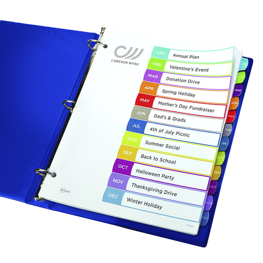 SEPARADOR PREDISEÑADO CON PESTAÑAS MULTICOLOR MENSUAL