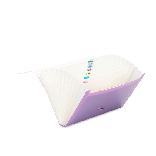 ARCHIO EXPANDIBLE13 BOLSILLOS CON AGARRADOR IO-PG204