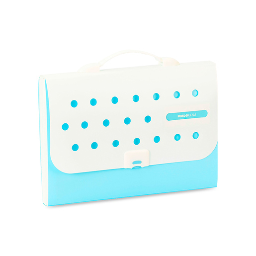 ARCHIO EXPANDIBLE13 BOLSILLOS CON AGARRADOR IO-PG304