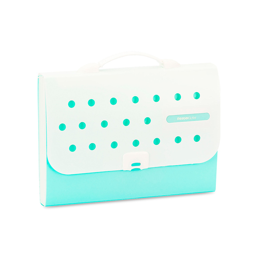 ARCHIO EXPANDIBLE13 BOLSILLOS CON AGARRADOR IO-PG404