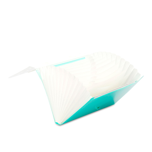 ARCHIO EXPANDIBLE13 BOLSILLOS CON AGARRADOR IO-PG404